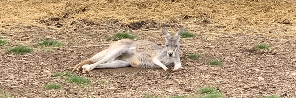 mmcossi Profile Banner