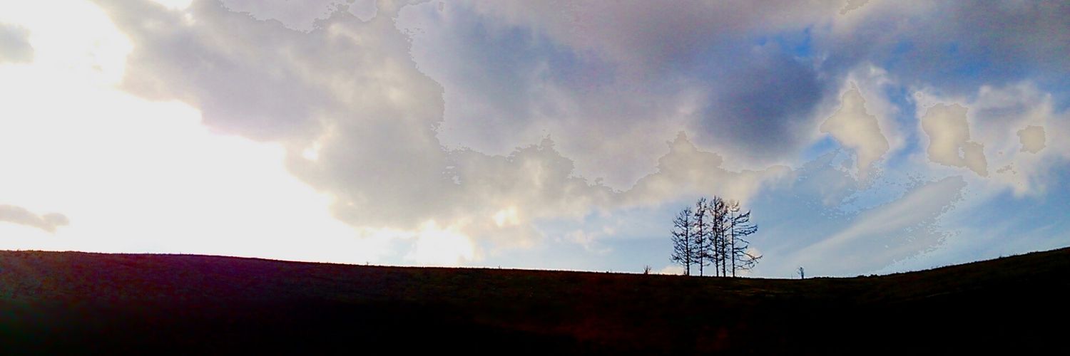 pureharuru's profile banner image