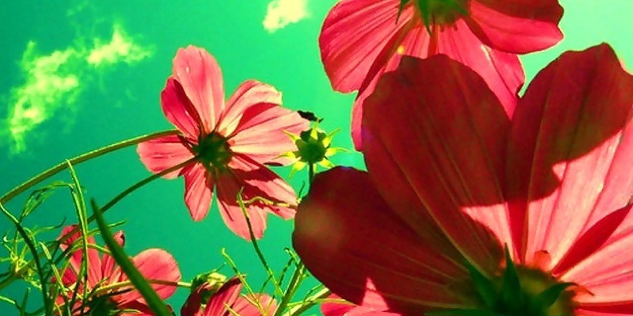 bidinputri's profile banner image