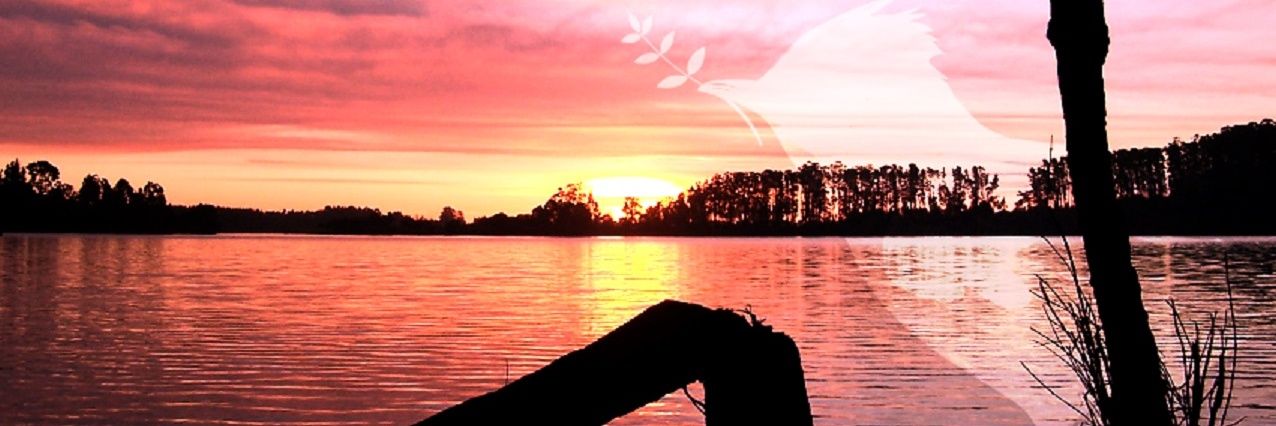 m3_padix's profile banner image