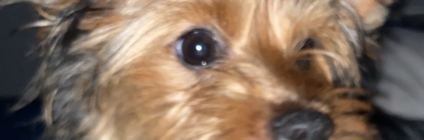 _Soffimartinez's profile banner image