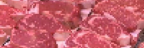 MonkeyBloom_ Profile Banner