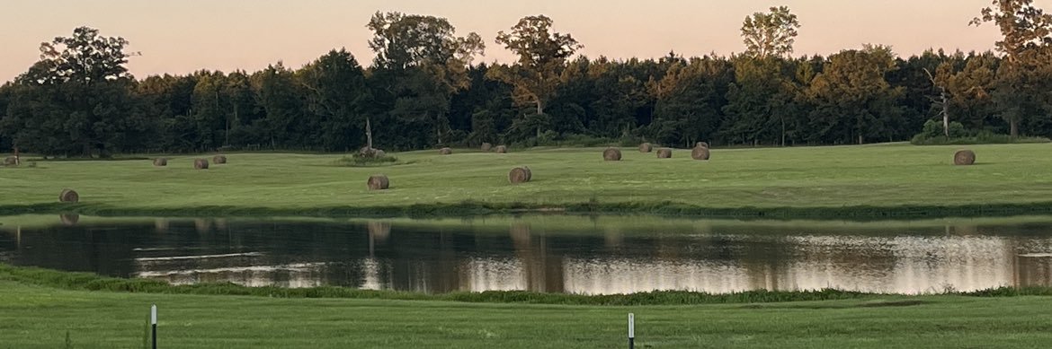 Dylan Lane Laster banner