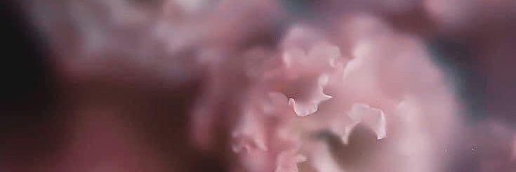 ajuuann's profile banner image