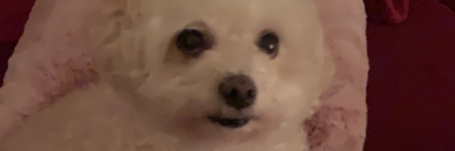 sl_imsad_ie's profile banner image