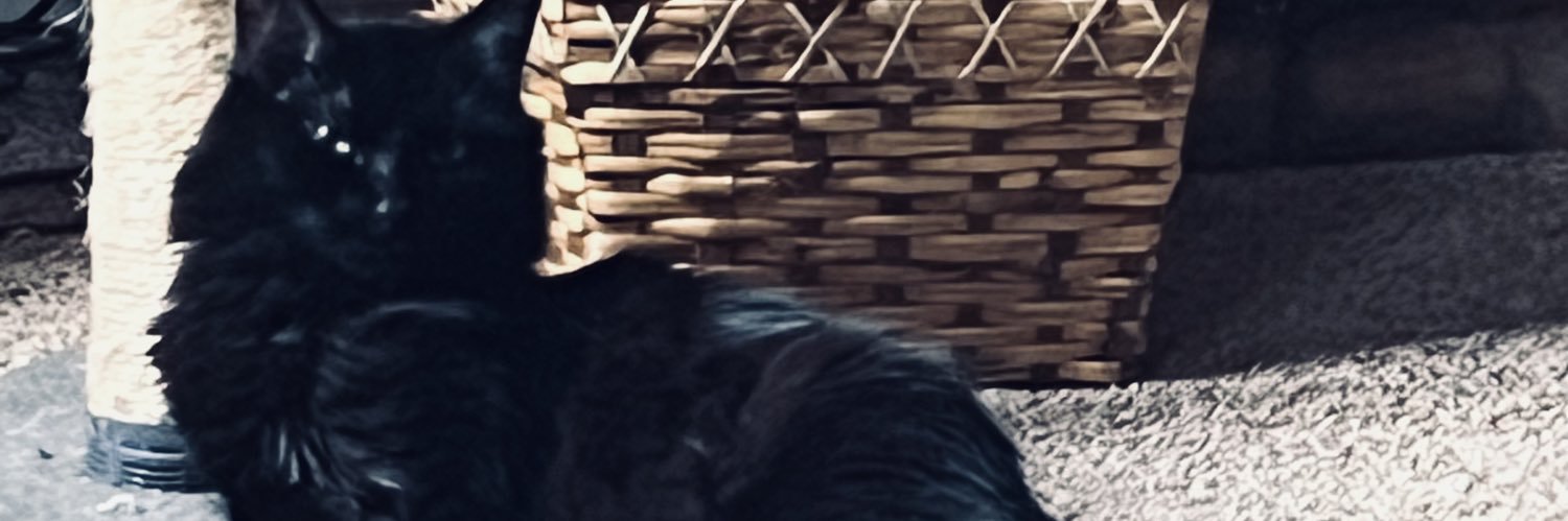 JusNik banner