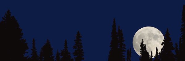 FULLM00NSCURSE Profile Banner