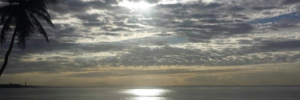 BeCarito's profile banner image
