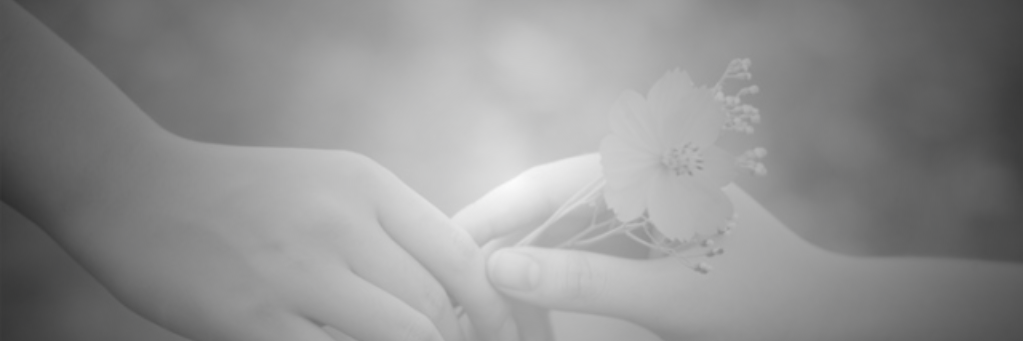 riyandika andhi banner