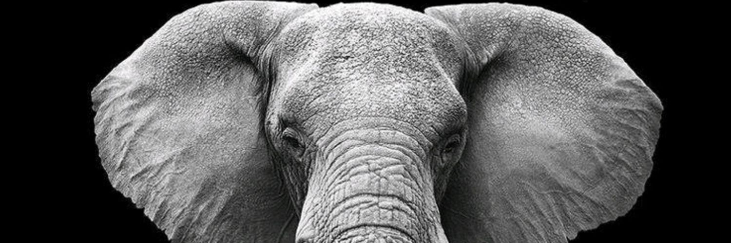 Raja Boopathi banner