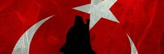 EminTheMachoTuranist2's banner