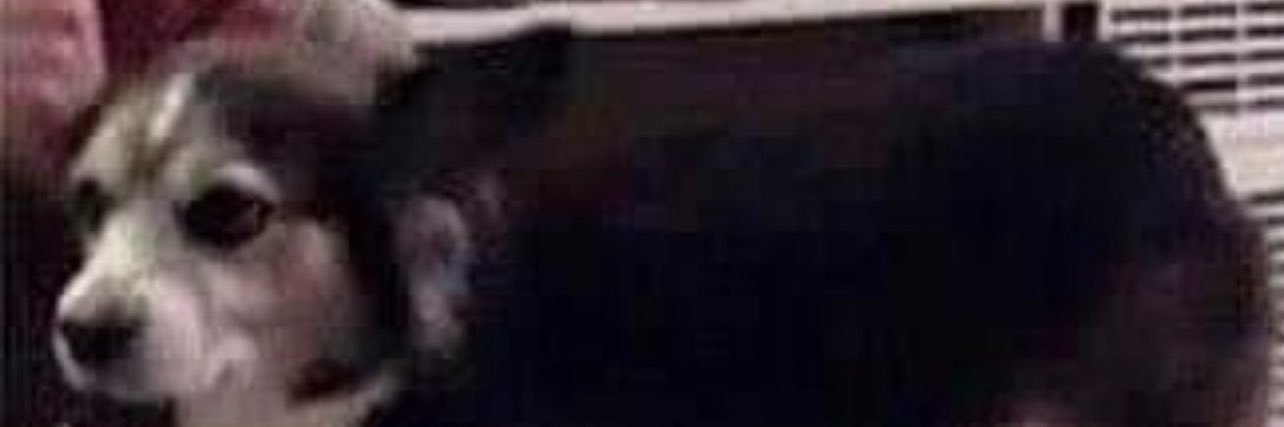 MrGuy• banner