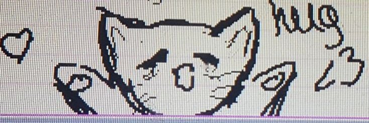 zuyaa (folg mal) banner