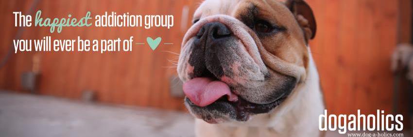 dogaholics's profile banner image