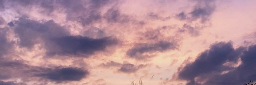 ___TGXO's profile banner image