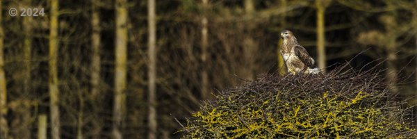 LeeRaldar Profile Banner