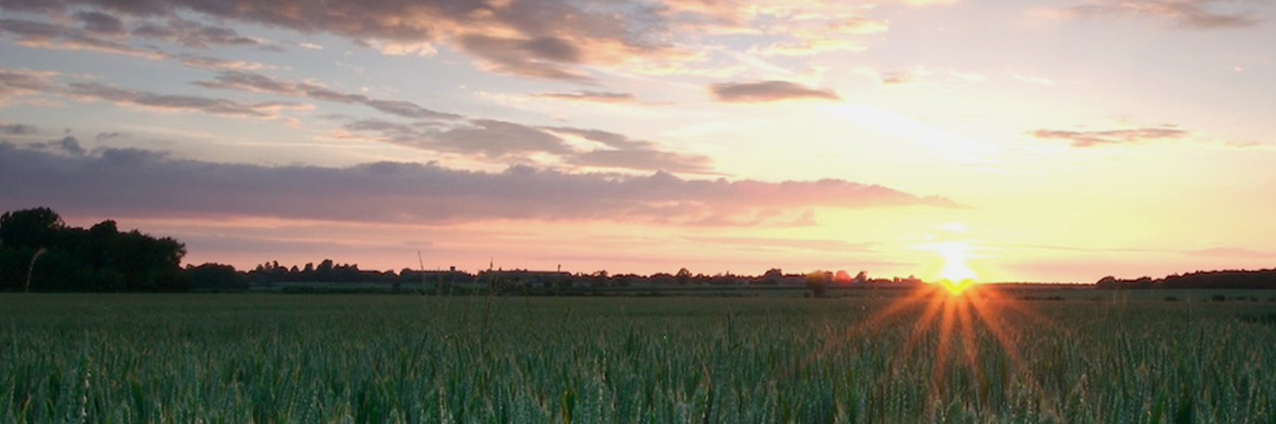 smartlife's profile banner image