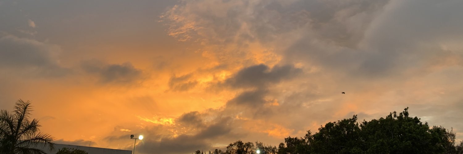 itslizmn's profile banner image