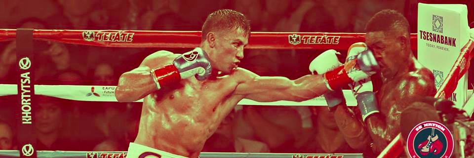 Bad Left Hook's banner