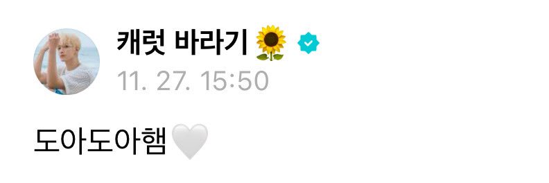 도아안해??'s banner