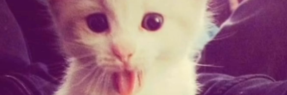 :p banner