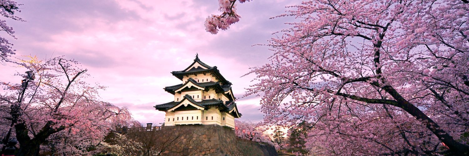 kottaro18's profile banner image