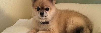 mnlally's profile banner image