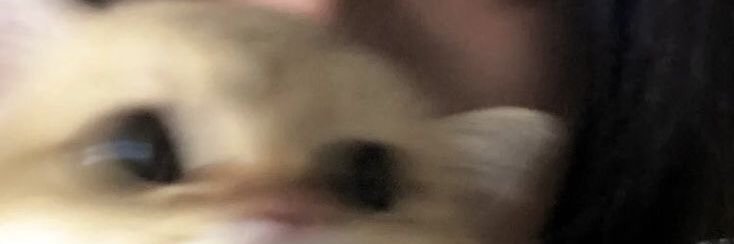 cixczy's profile banner image