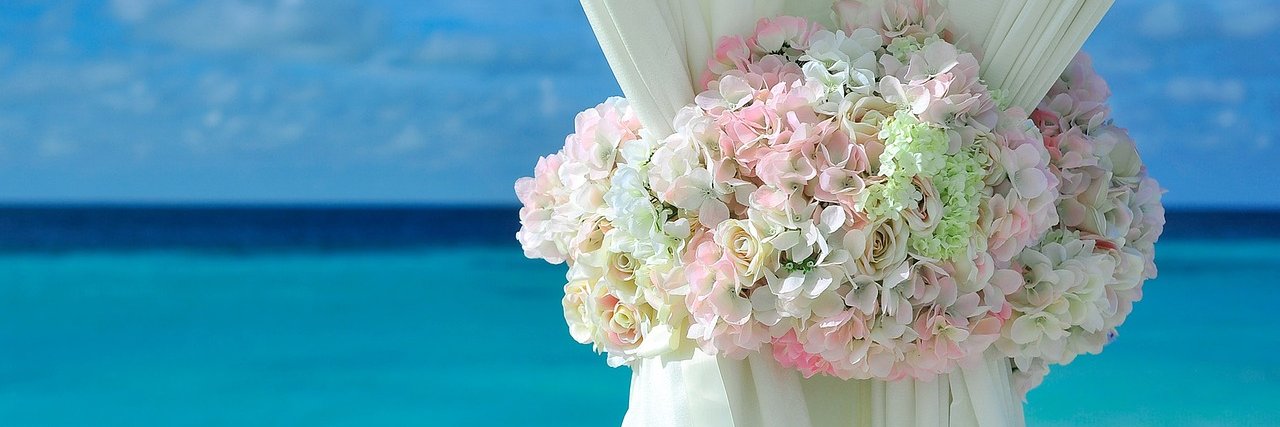 The Perfect Day's banner