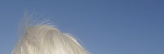 Injune banner