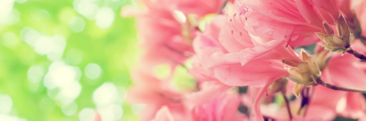 Room36Aloha's profile banner image