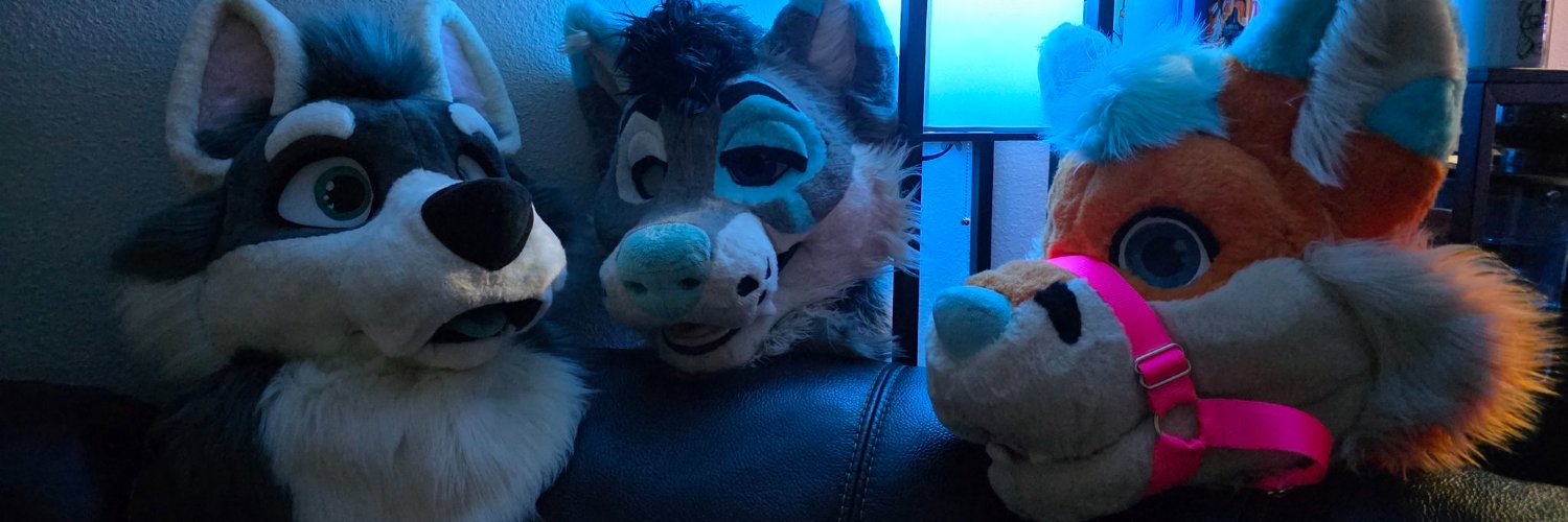 CozyPaws242's profile banner image