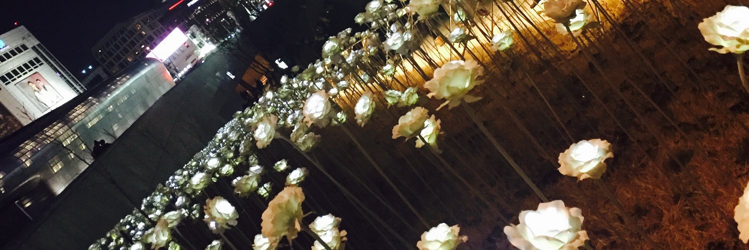 SummerDreeeam's profile banner image