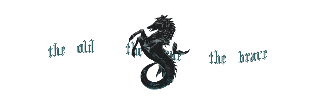 ‍ ‍ ‍ ᴾᴿᴵᴺᑦᴱ'ᔆ ⁀𓄼 𝕻┄𝚁𝙸͜𝙳𝙴 banner