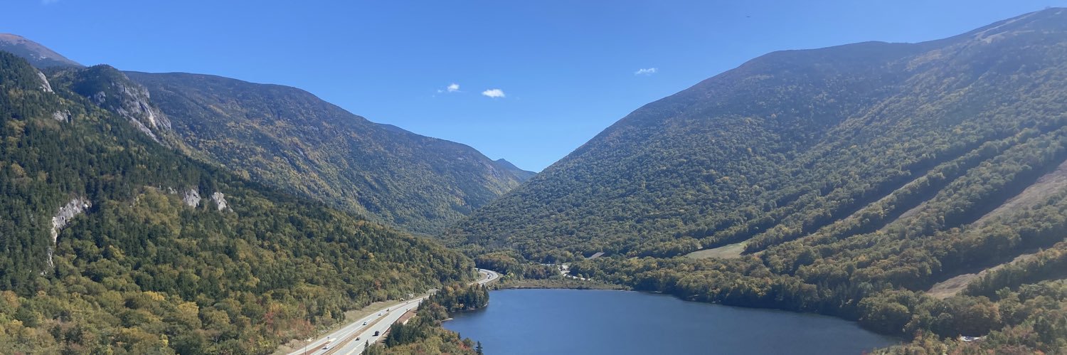 scarcely aware banner