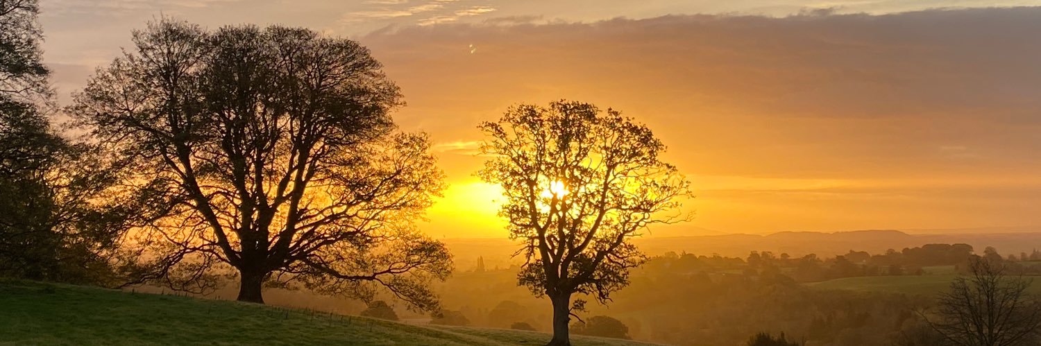 Darren Martin banner