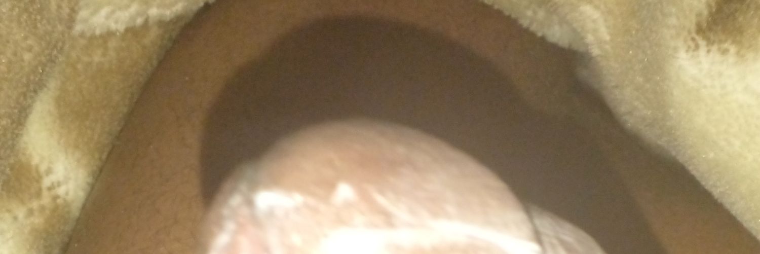 Balaclava006's profile banner image