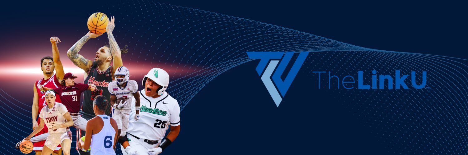 TheLinkU's banner