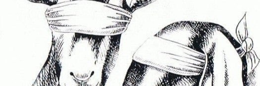 skillz885 banner