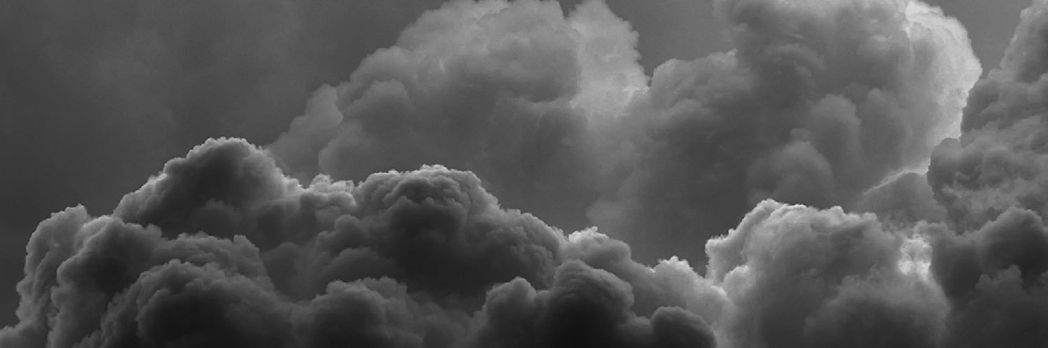 🍋 banner