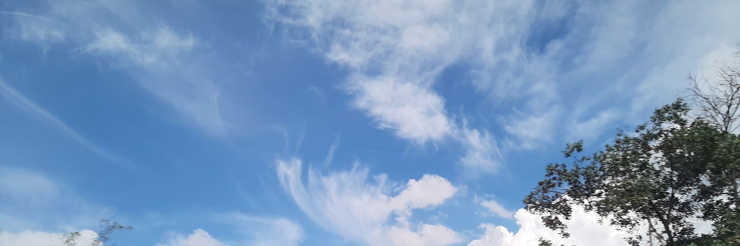 sunggdennlast's profile banner image