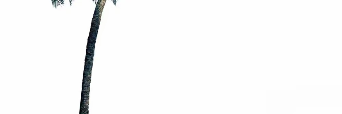 小喵🐱 banner