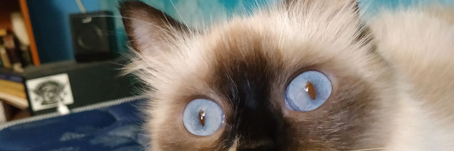 Adamrafl's profile banner image