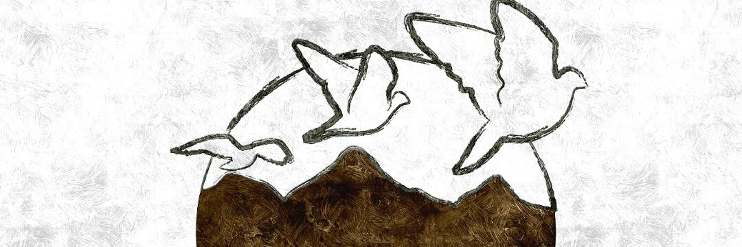 Sierra_Brava's profile banner image