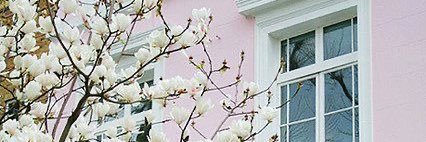 ꒰ྀི∗ɞ̴̶̷ ·̮ ɞ̴̶̷∗꒱ banner