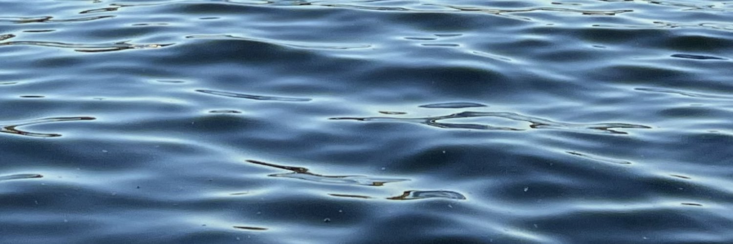 anchovy rhubarb asparagus banner