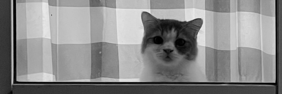 __ewik's profile banner image