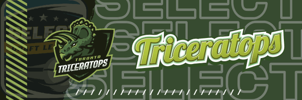 SelectTricera Profile Banner