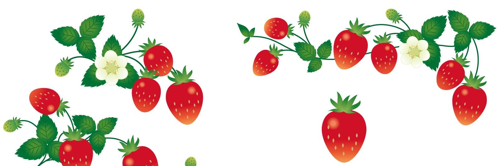 いちごいちご banner
