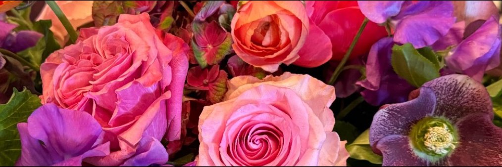 educationguru8's profile banner image
